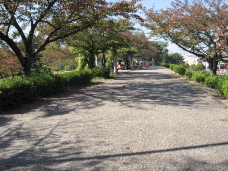 画像42